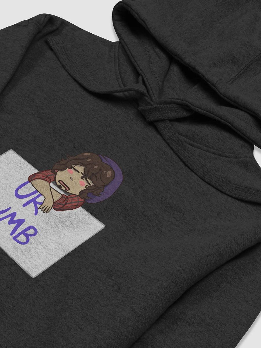 UR DUM Hoodie product image (3)