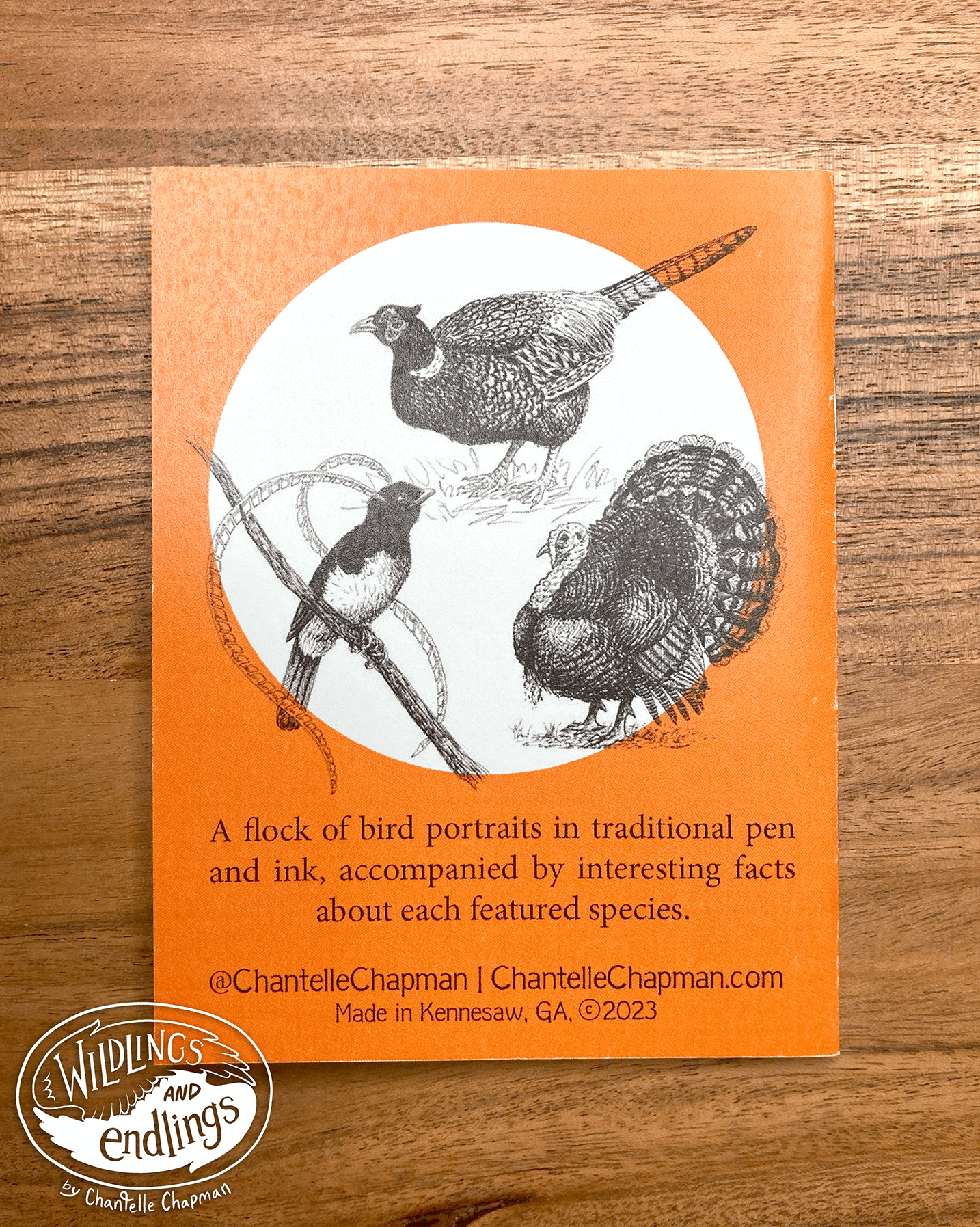 'A Bitty Book of Birds' Handmade Book, with Traditional Pen & Ink Illustrations product image (4)