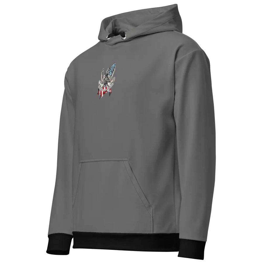 Gray Athena Tug & CE Flage Hoodie product image (12)