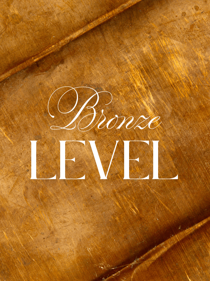Bronze Level - Sponsorship product image (1)