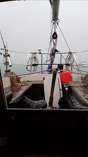 44 seconds of raw footage 😴🌊

#sailing #sailinglifestyle #sailinglife #boatlife #boatlifestyle #cruisinglife #cruising #newze...