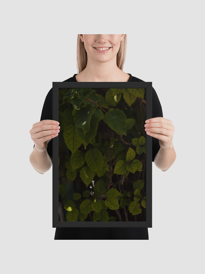 Leafy bush Framed photography Poster product image (1)