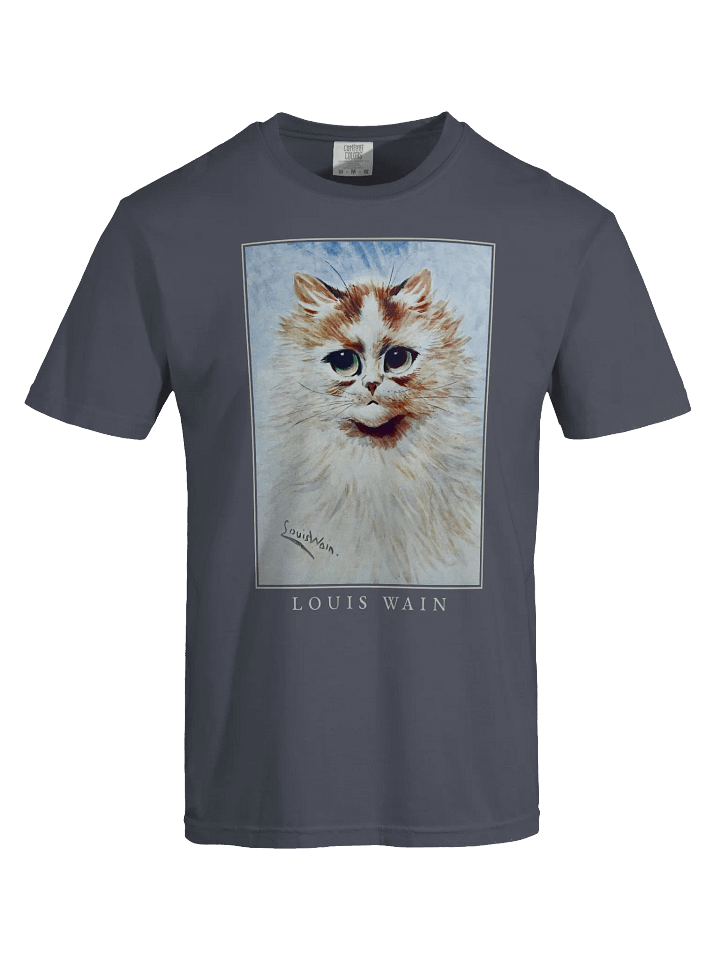 Louis Wain Fluffy Cat T-Shirt – Relaxed Fit Heavyweight Unisex Cotton T-Shirt product image (1)
