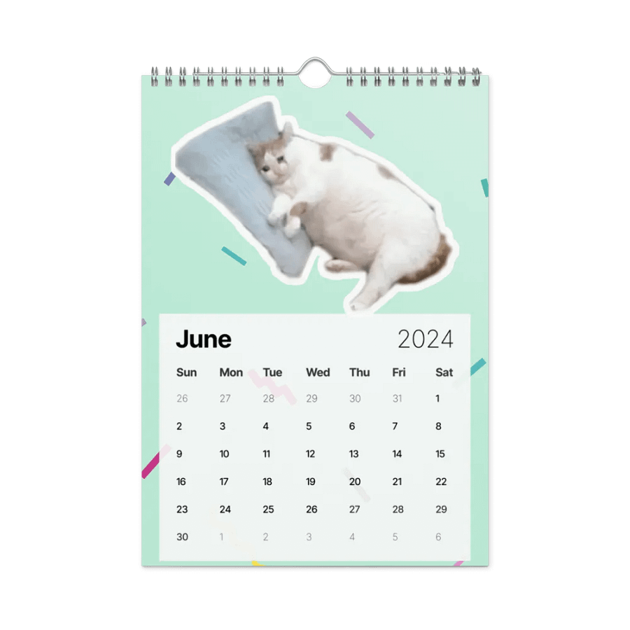 Wall Calendar (2024): Meme Cats product image (12)