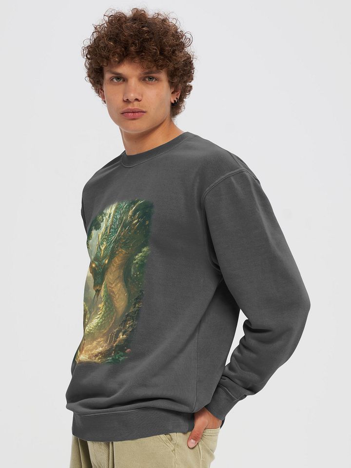 Mystical Dragon Encounter Sweatshirt product image (1)