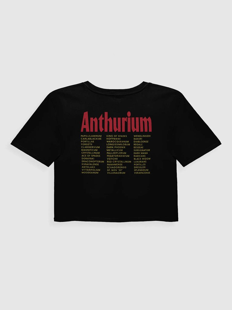 ⚡️ ANTHURIUM WORLD TOUR ⚡️ crop top product image (2)