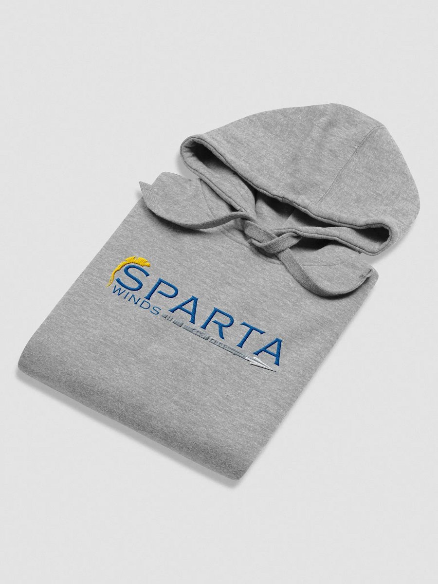 SW Embroidered Hoodie product image (4)