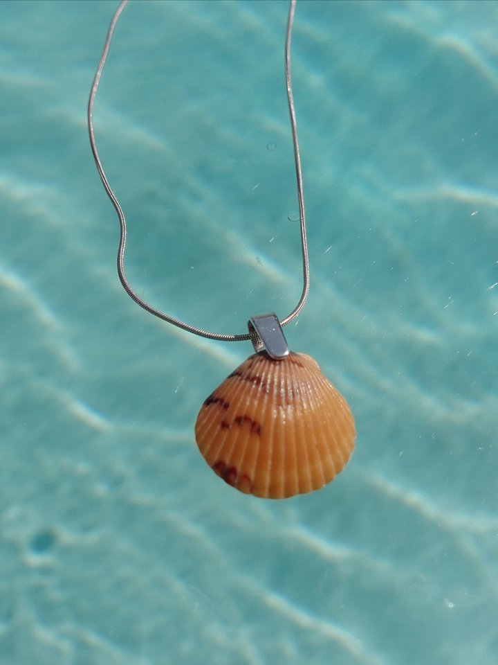 Mermaid Wish Necklace ~ 3 product image (1)
