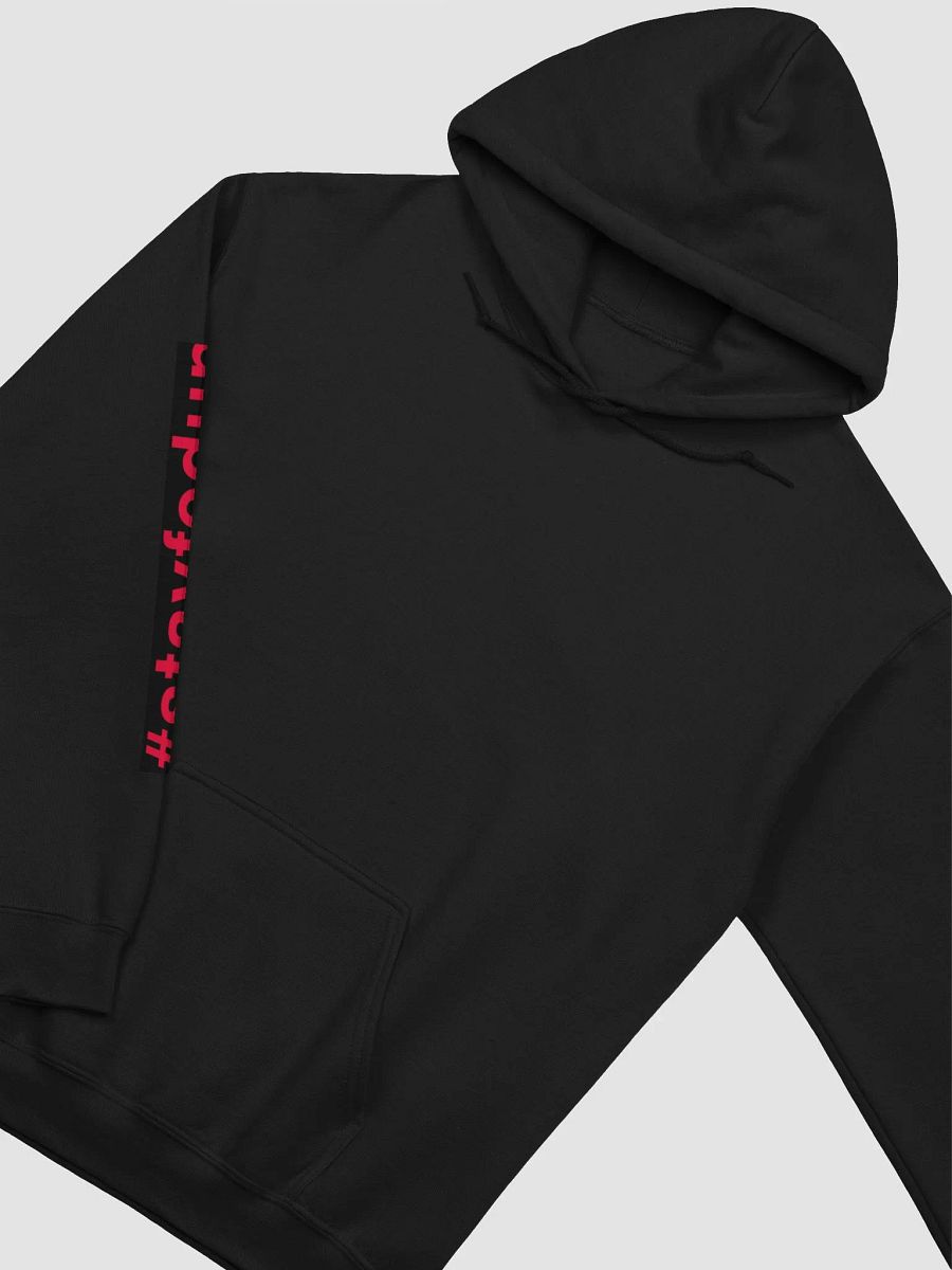 Federal Hoodie product image (3)