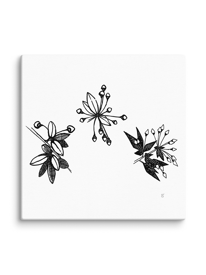 Blank Canvas: Unleash Your Artistic Vision - Stylized Plants product image (2)