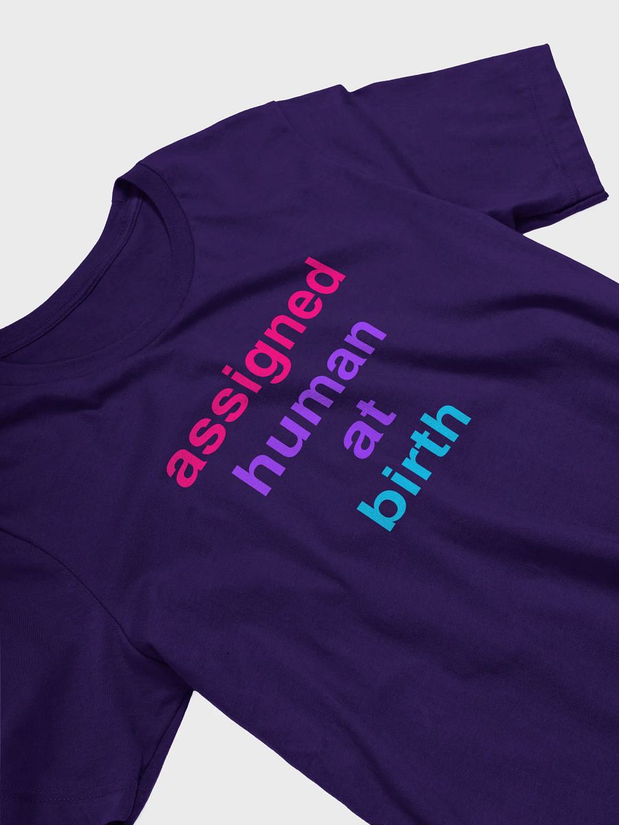 assigned human at birth androgyne t-shirt product image (3)