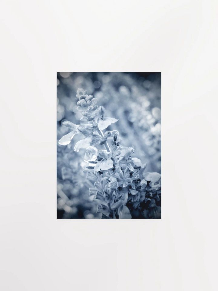 Wisteria 6 product image (7)