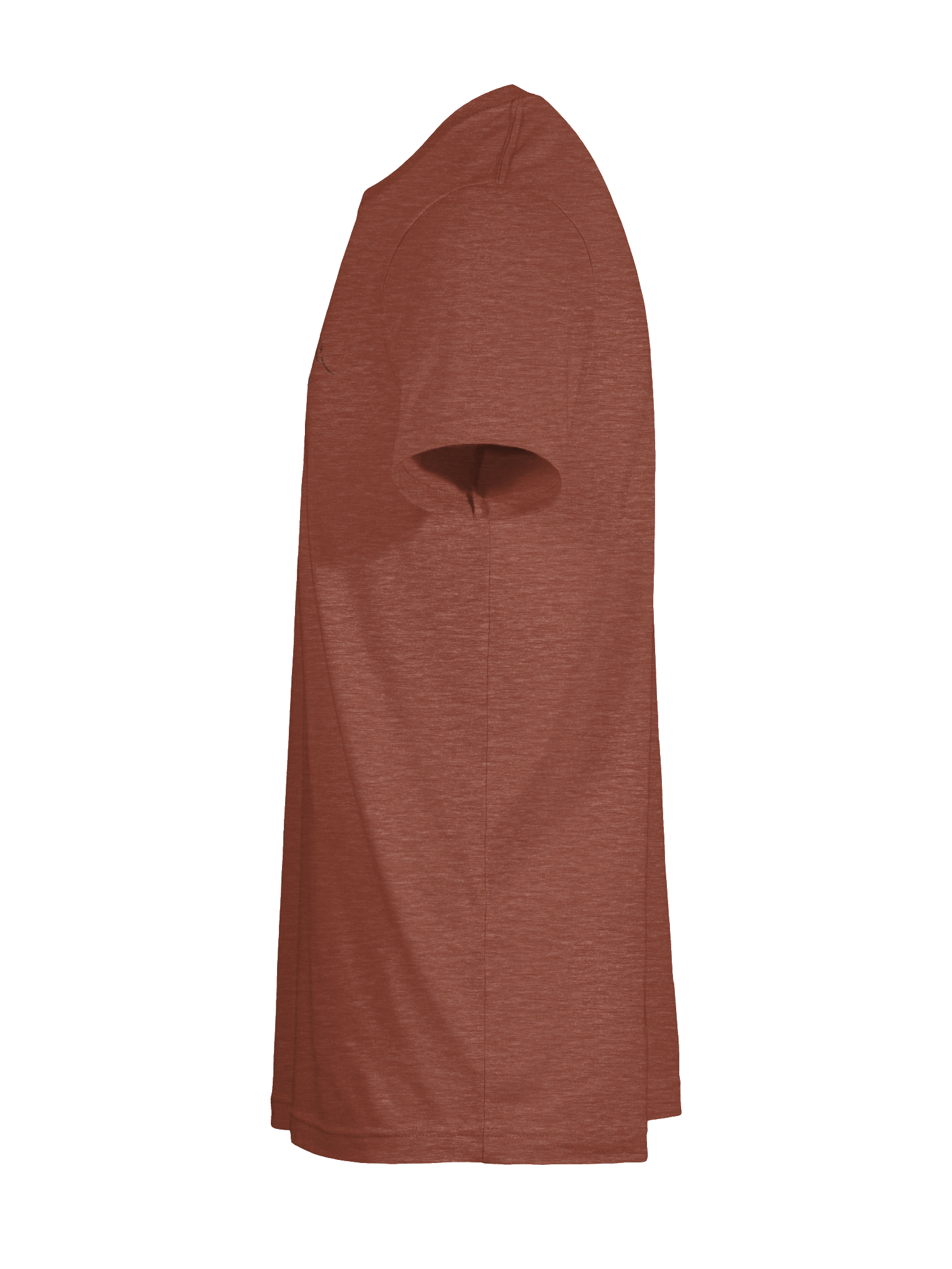 Flying American Avocet Comfort Tee product image (121)