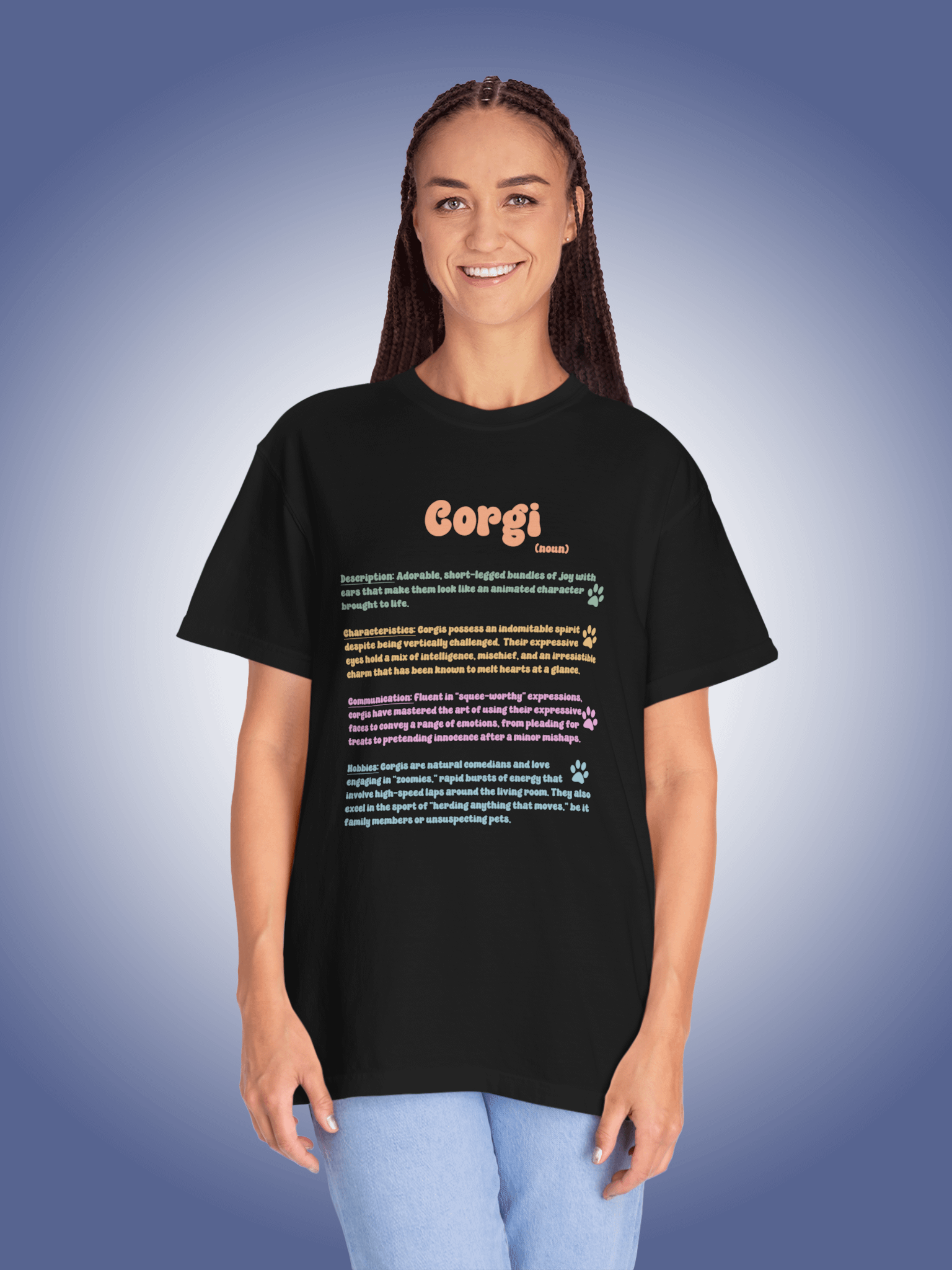 Definition of a Corgi product image (1)