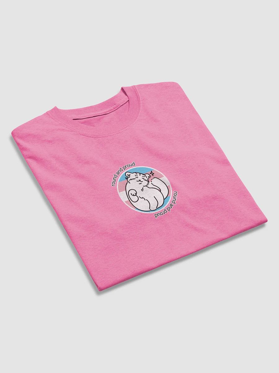 Round and Proud Manul Transgender Version - Gildan Unisex T-Shirt product image (35)