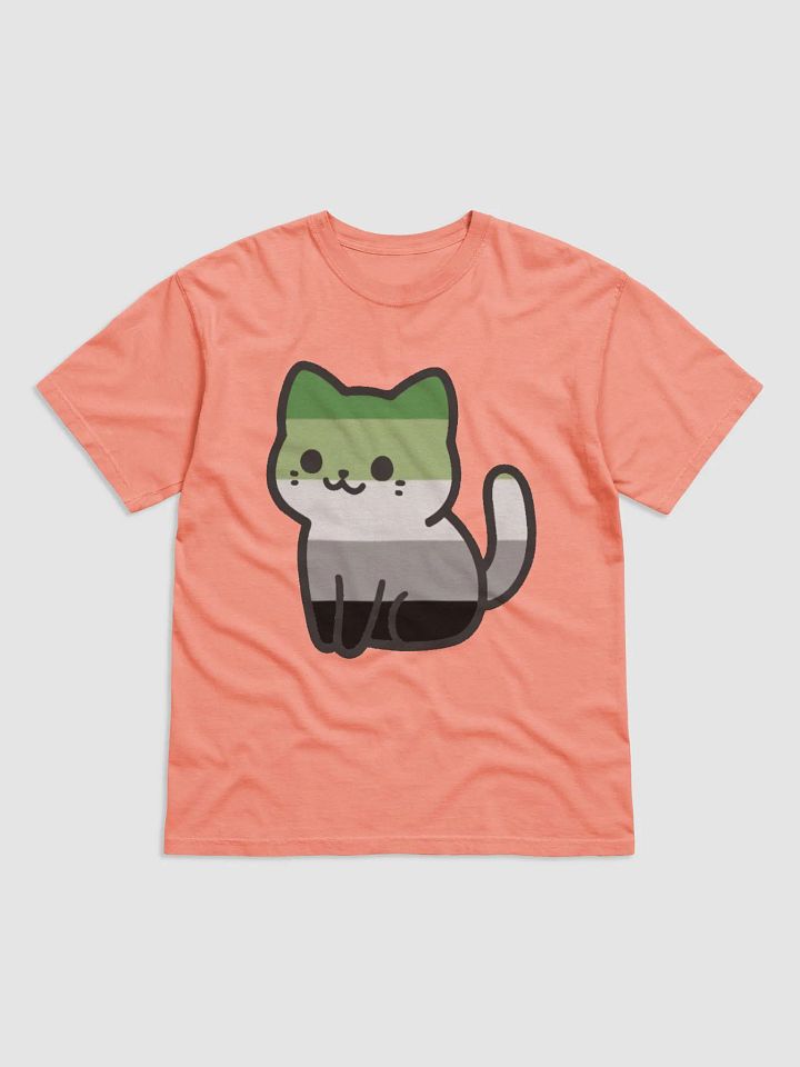 Aromantic Pride Kitty Man's Shirt product image (1)