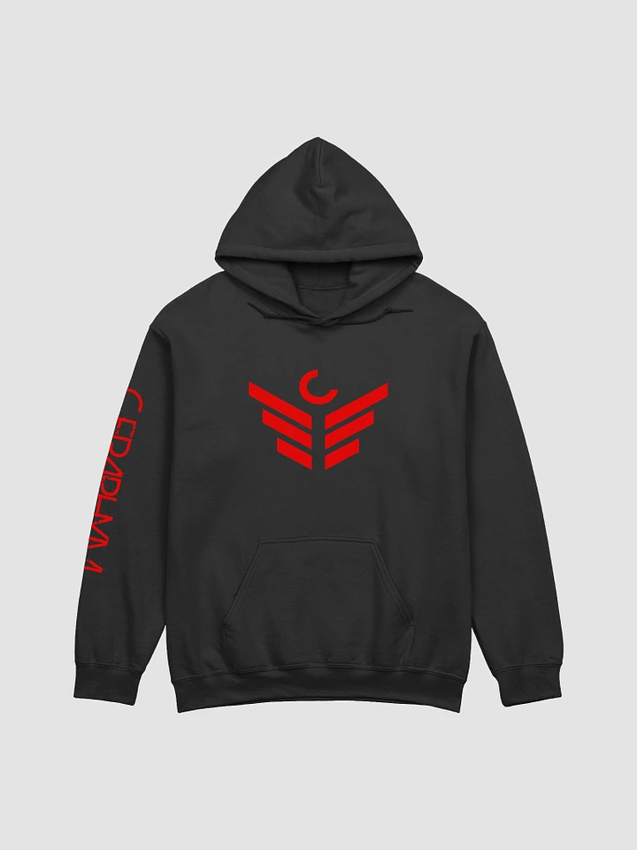 Divided Hoodie product image (1)