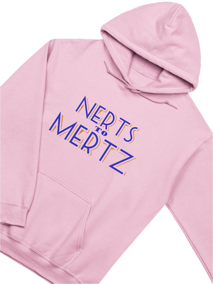 'Nerts to Mertz' Hoodie product image (2)
