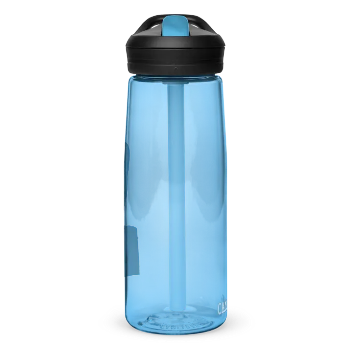 Barn Owl Drawing Water Bottle Straw product image (59)