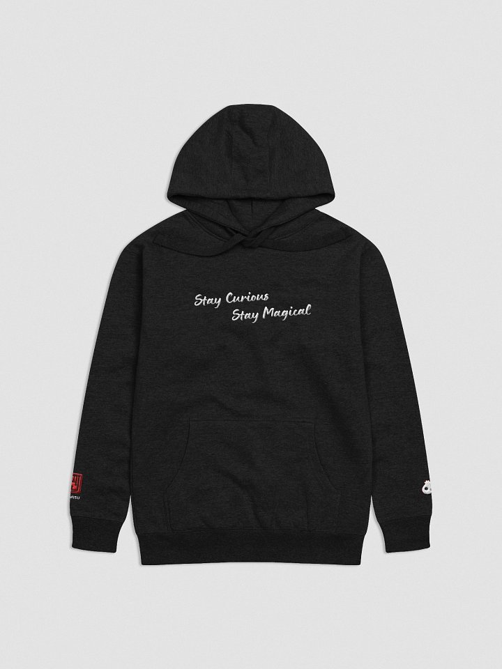 Stay Curious Hoodie product image (1)