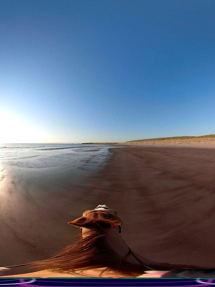Scottish Treasure "Turnberry Beach Ride" Moment product image (1)