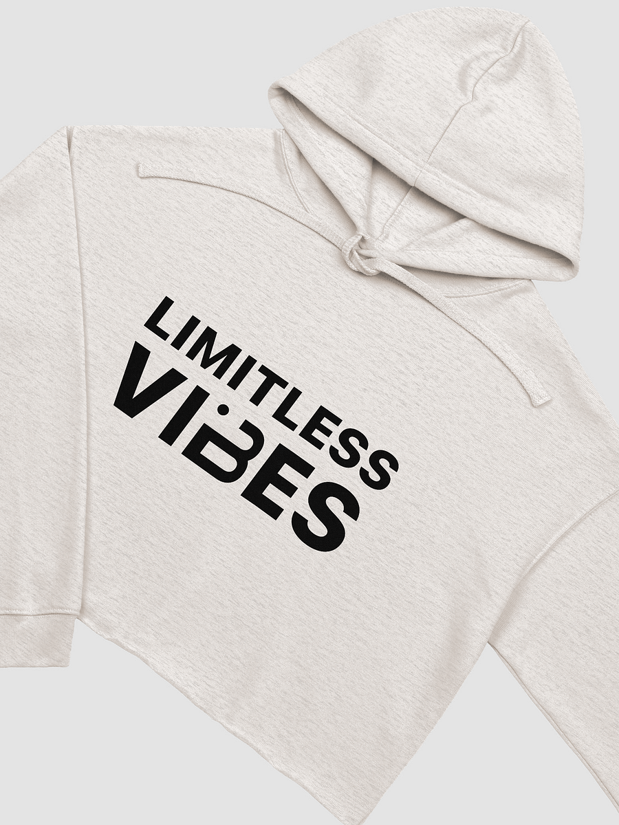 BUIII Limitless Vibes Fleece Crop Hoodie product image (11)