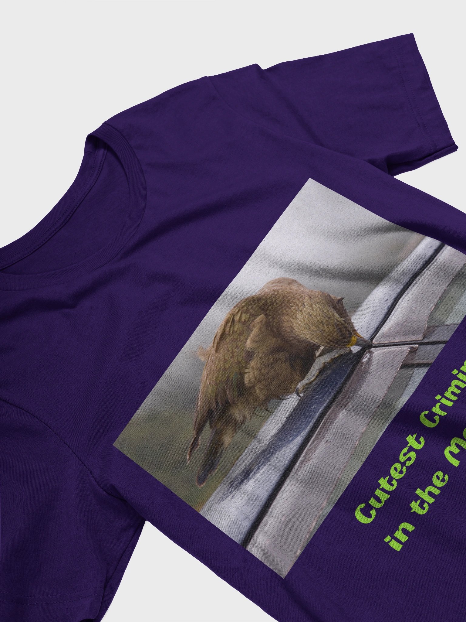 The Mischievous Parrot product image (2)