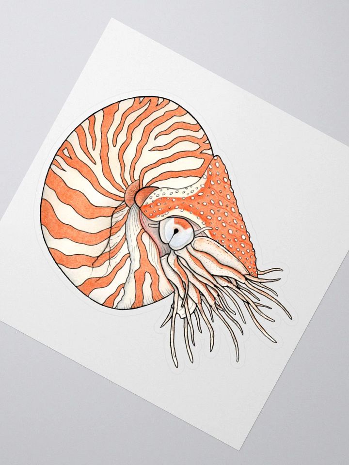 Ancient Mollusk sticker product image (2)