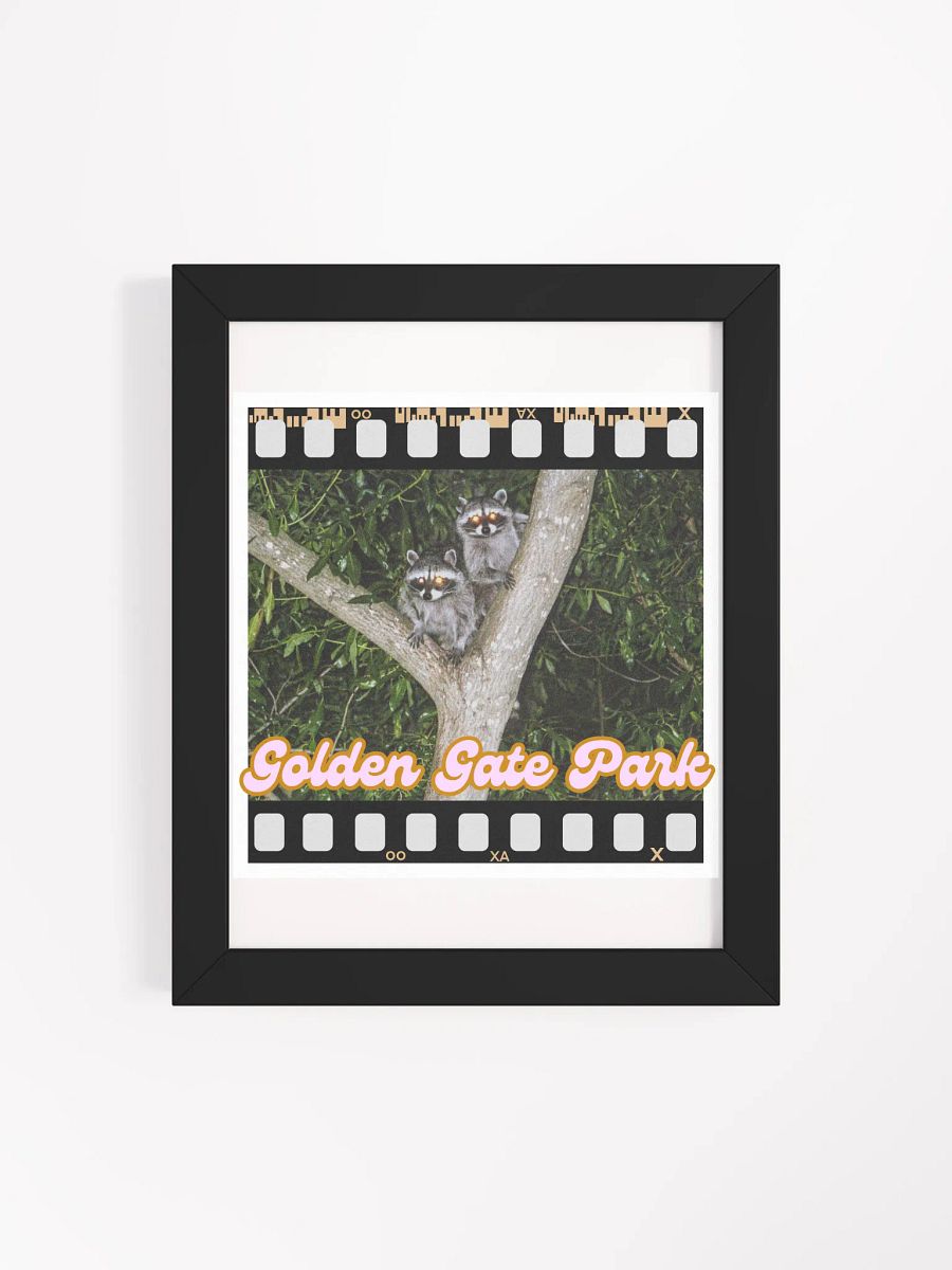 Golden Gate Park Raccoons Framed Poster Print product image (4)