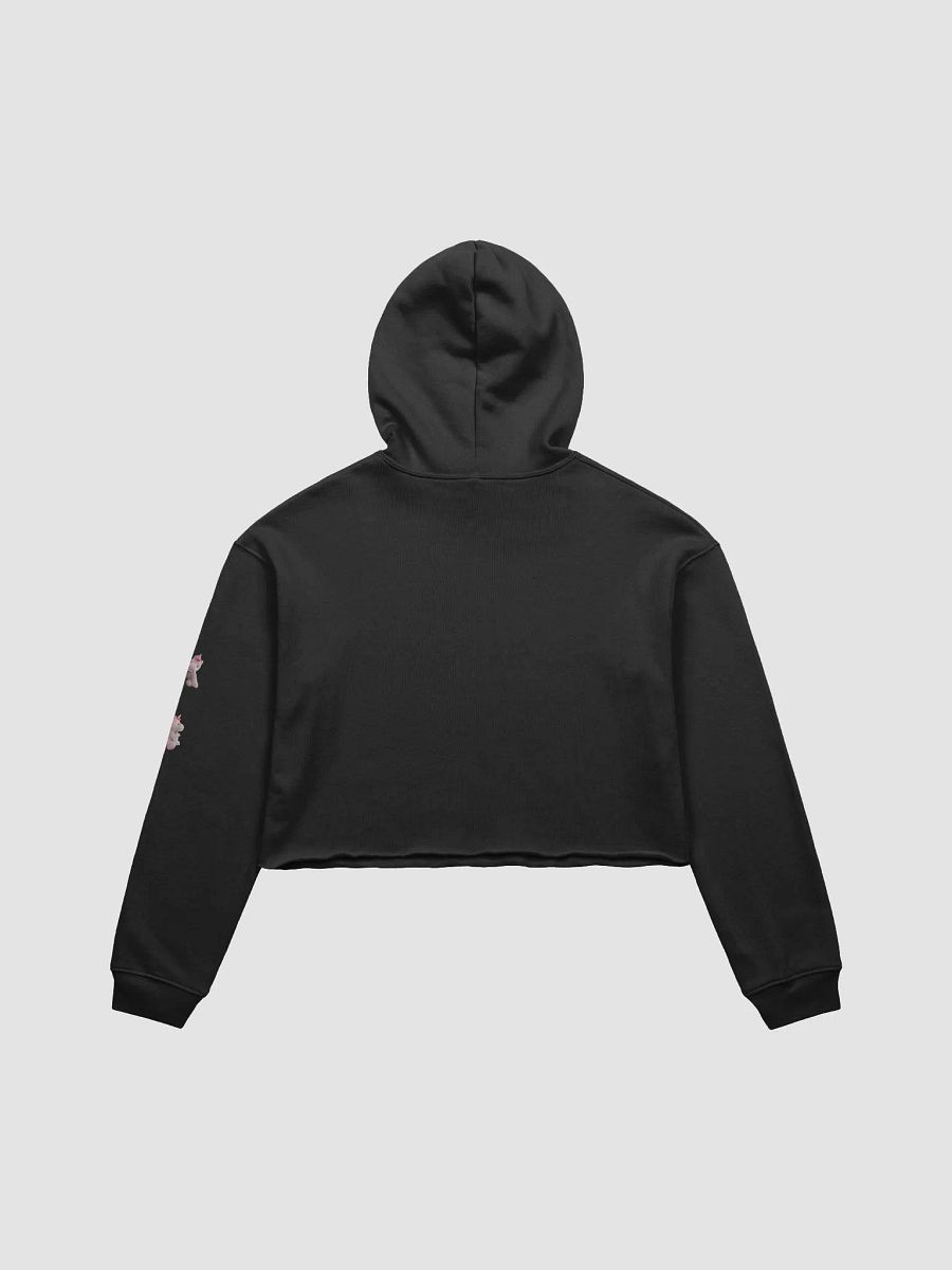 Have a Taco crop hoodie product image (5)