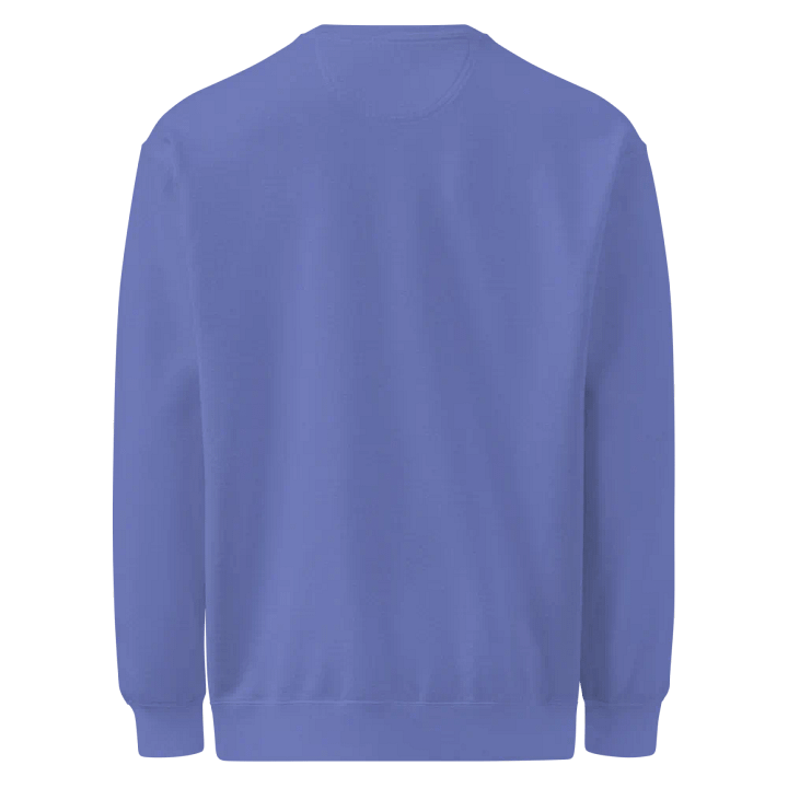 Zen Raccoon Meditative Sweatshirt product image (2)