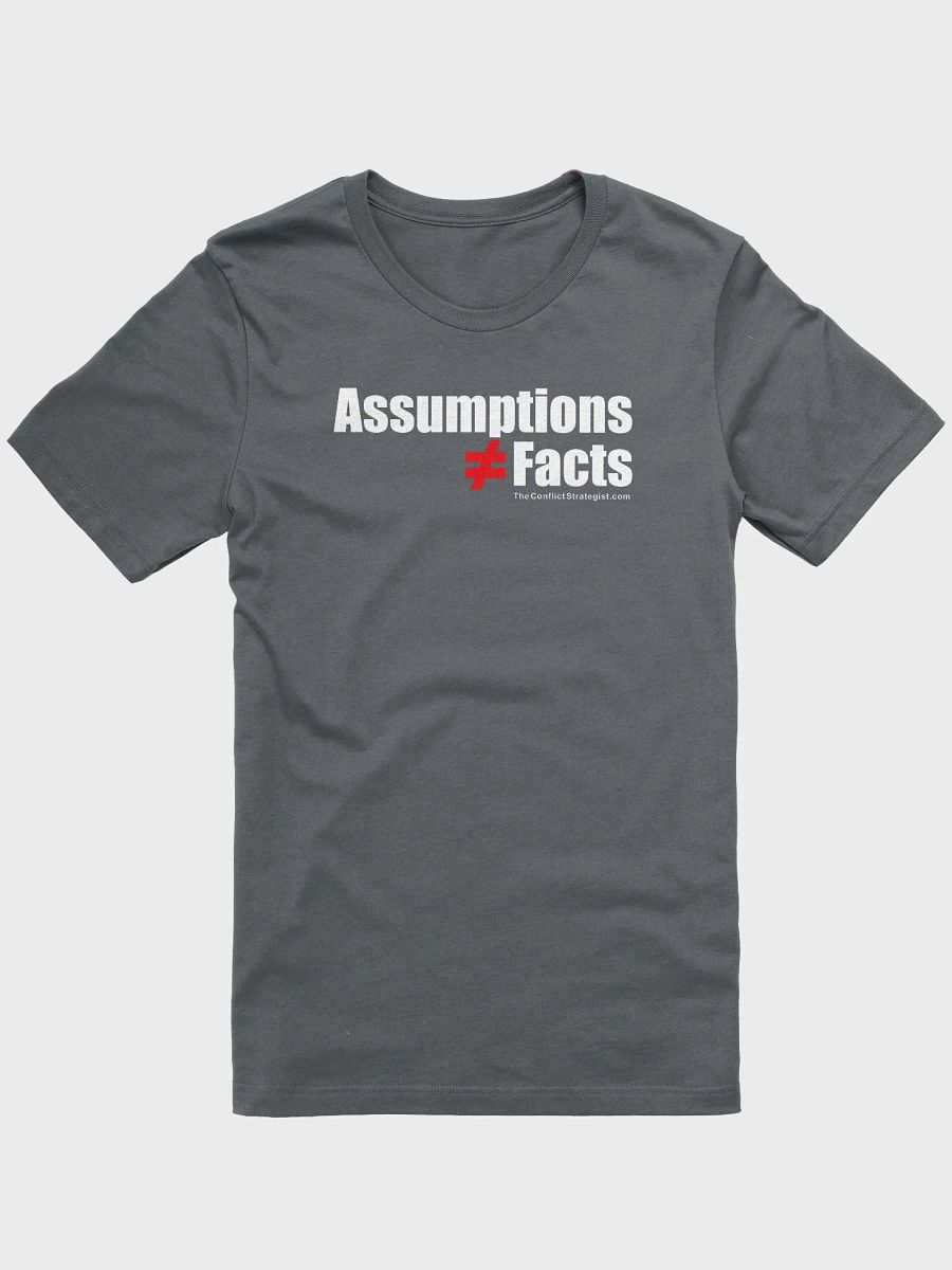 Assumptions / Facts - Unisex T Shirt - 6 Colors product image (2)
