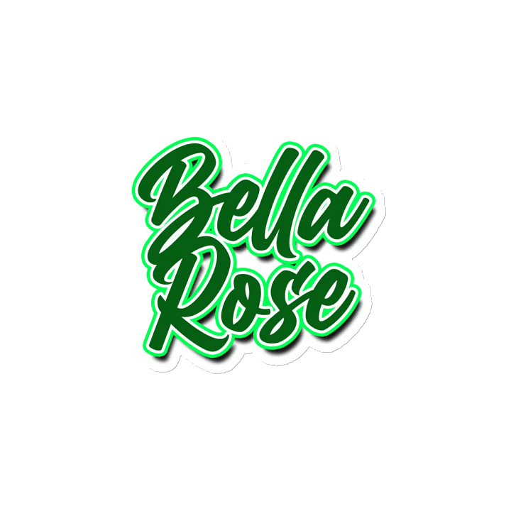 BellaRose St. Patty's Magnets product image (2)