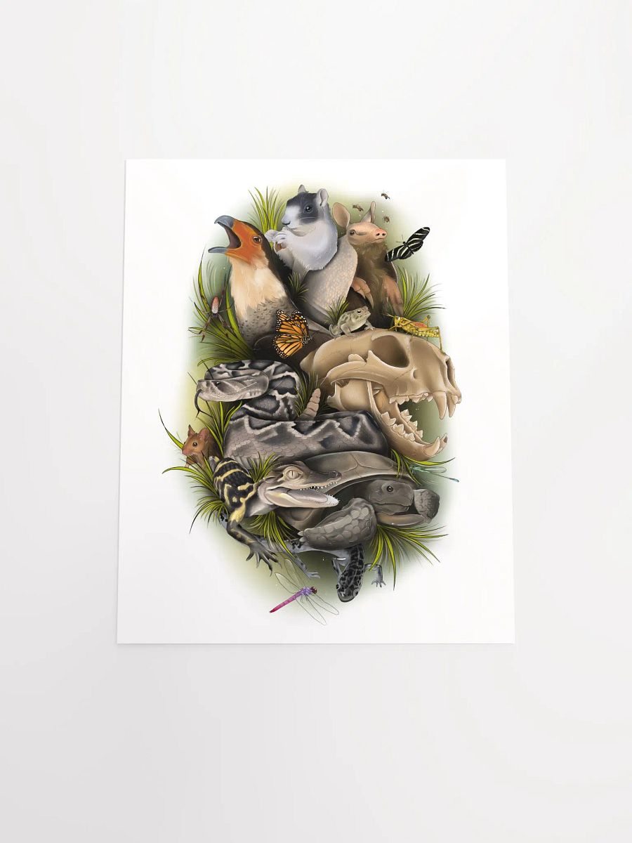 Wild Animals of Florida product image (11)