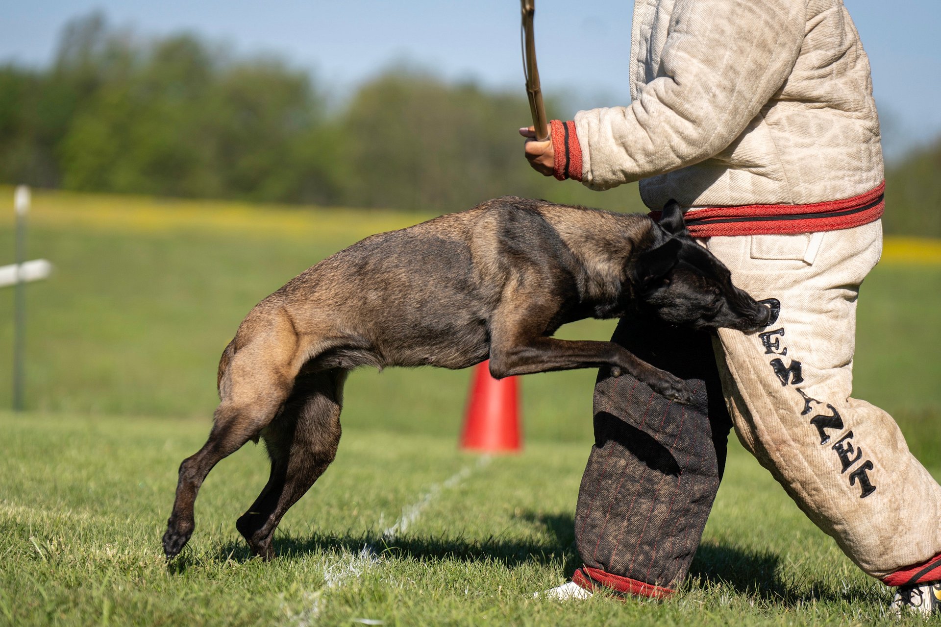 Vive le ring - French ring - Premium Unisex Tank Top product image (4)