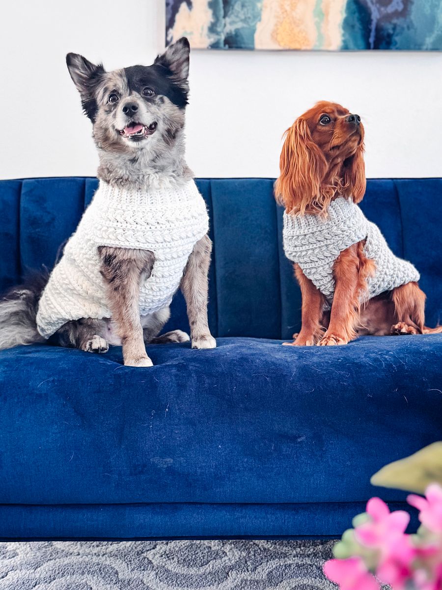 Wheat Stitch Dog Sweater Crochet Pattern in 8 Sizes product image (4)