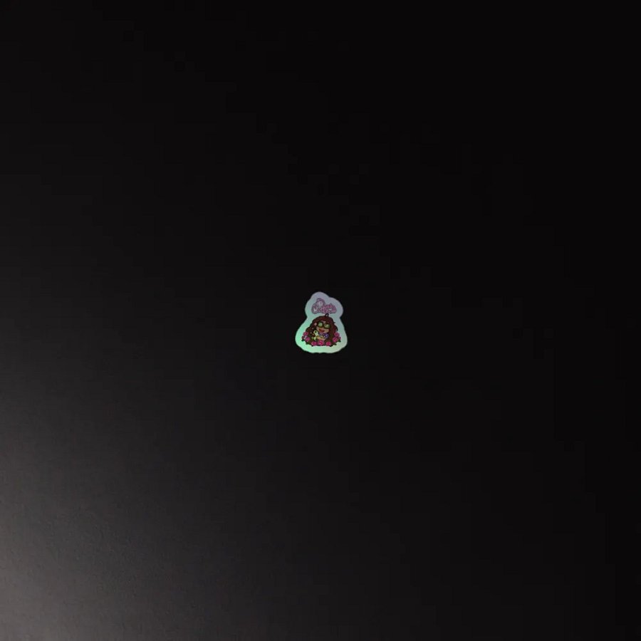 Dudachicken Holographic Sticker Sheet product image (4)