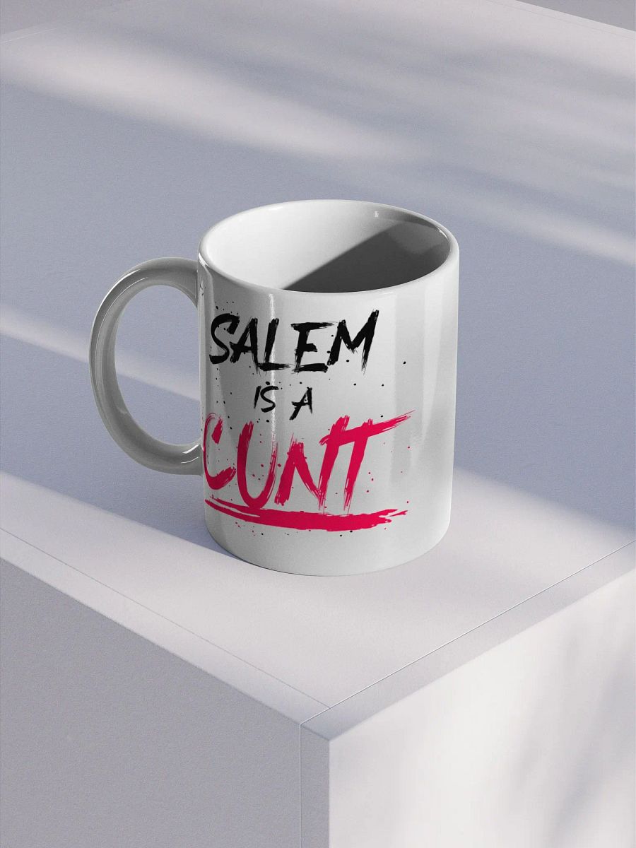 SALEM IS A C*NT [MUG] product image (1)