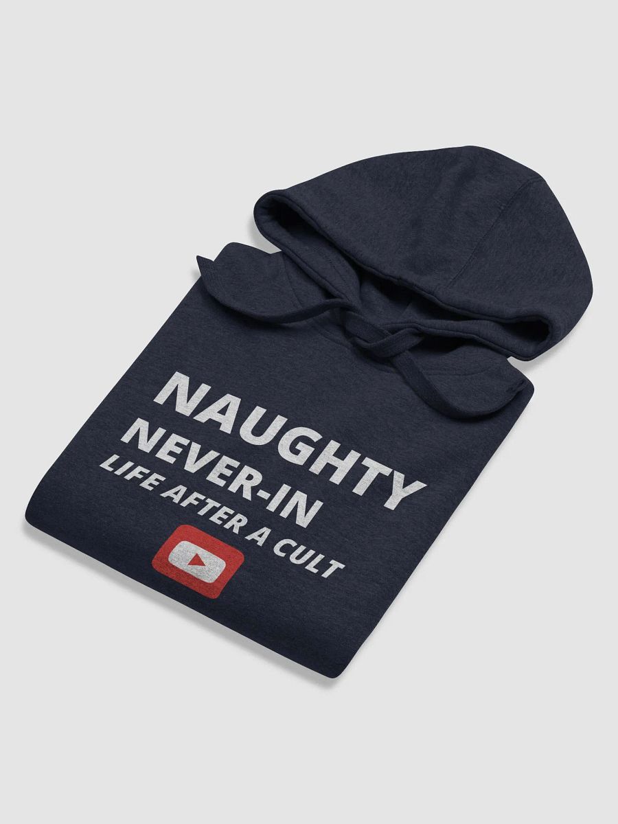 Naughty Never-In Hoodie - Black product image (6)