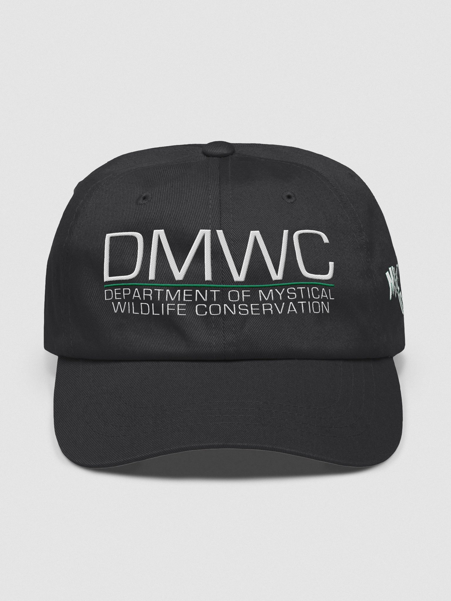 DMWC Hat product image (1)