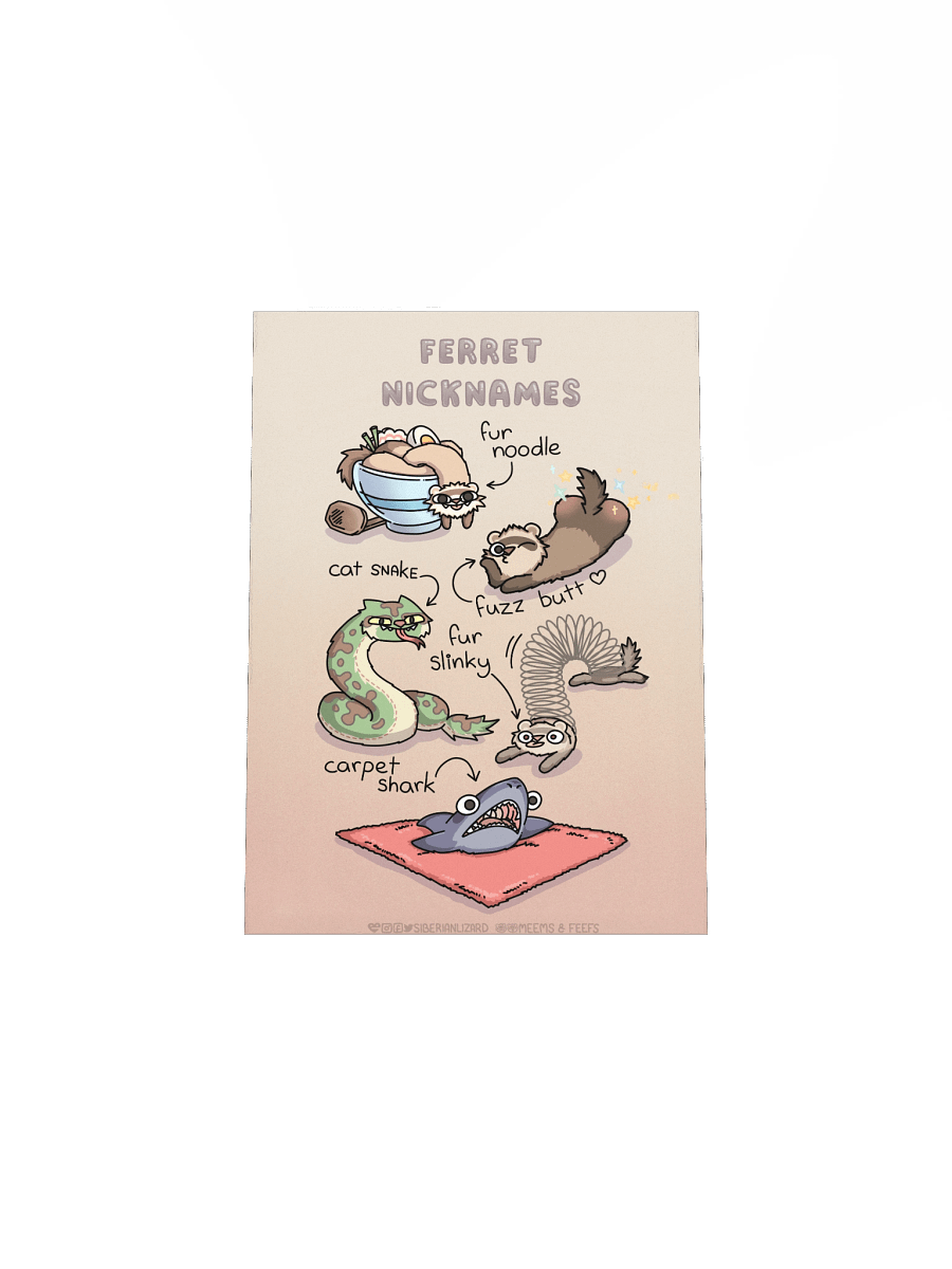 Ferret Nicknames | Bestselling Poster product image (32)