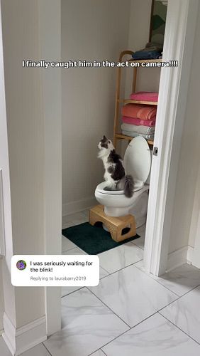 And he doesn’t even get pee on the seat, a man can’t even do that 🧻