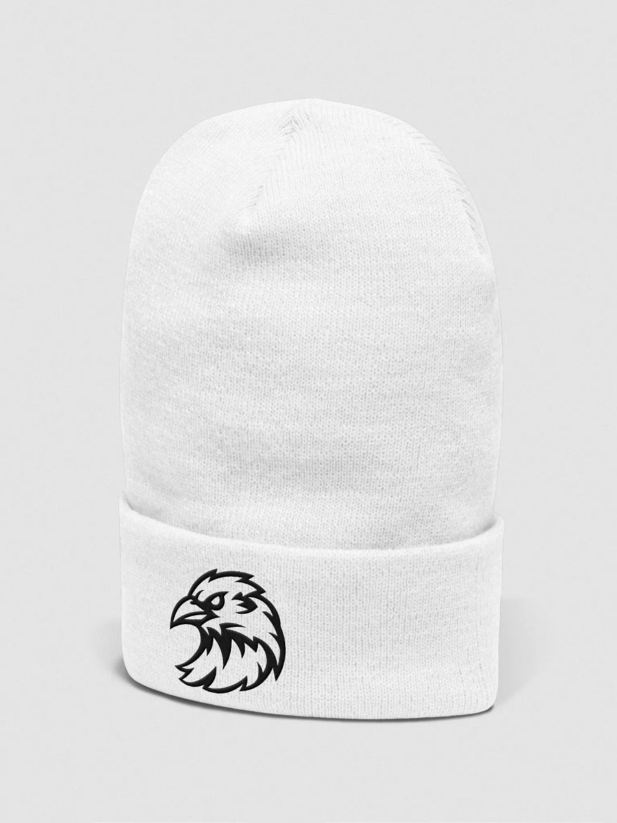 Raven Embroidered Beanie product image (4)