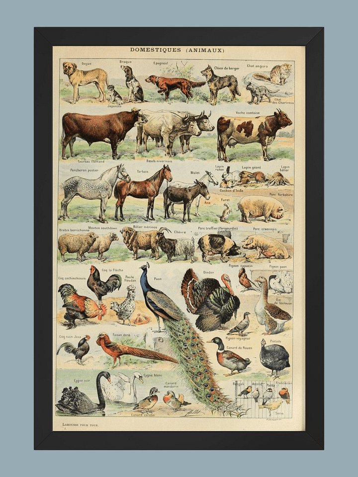 Le Larousse pour tous product image (2)