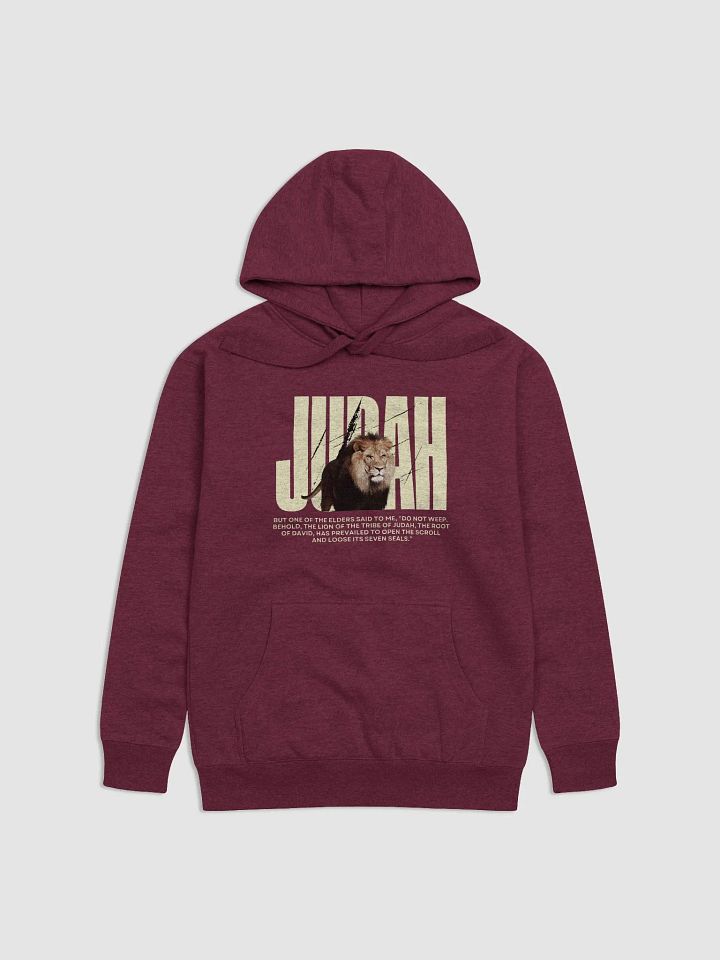 Lion of Judah Premium Hoodie product image (1)
