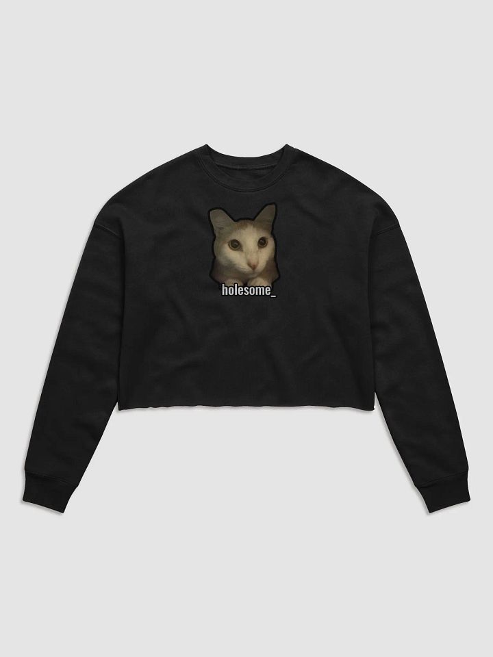 holesome Nico cropped sweatshirt product image (5)