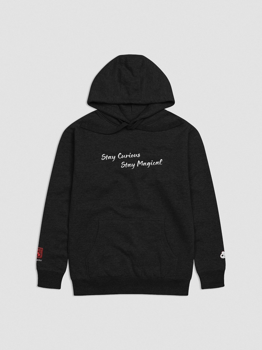 Stay Curious Hoodie product image (1)