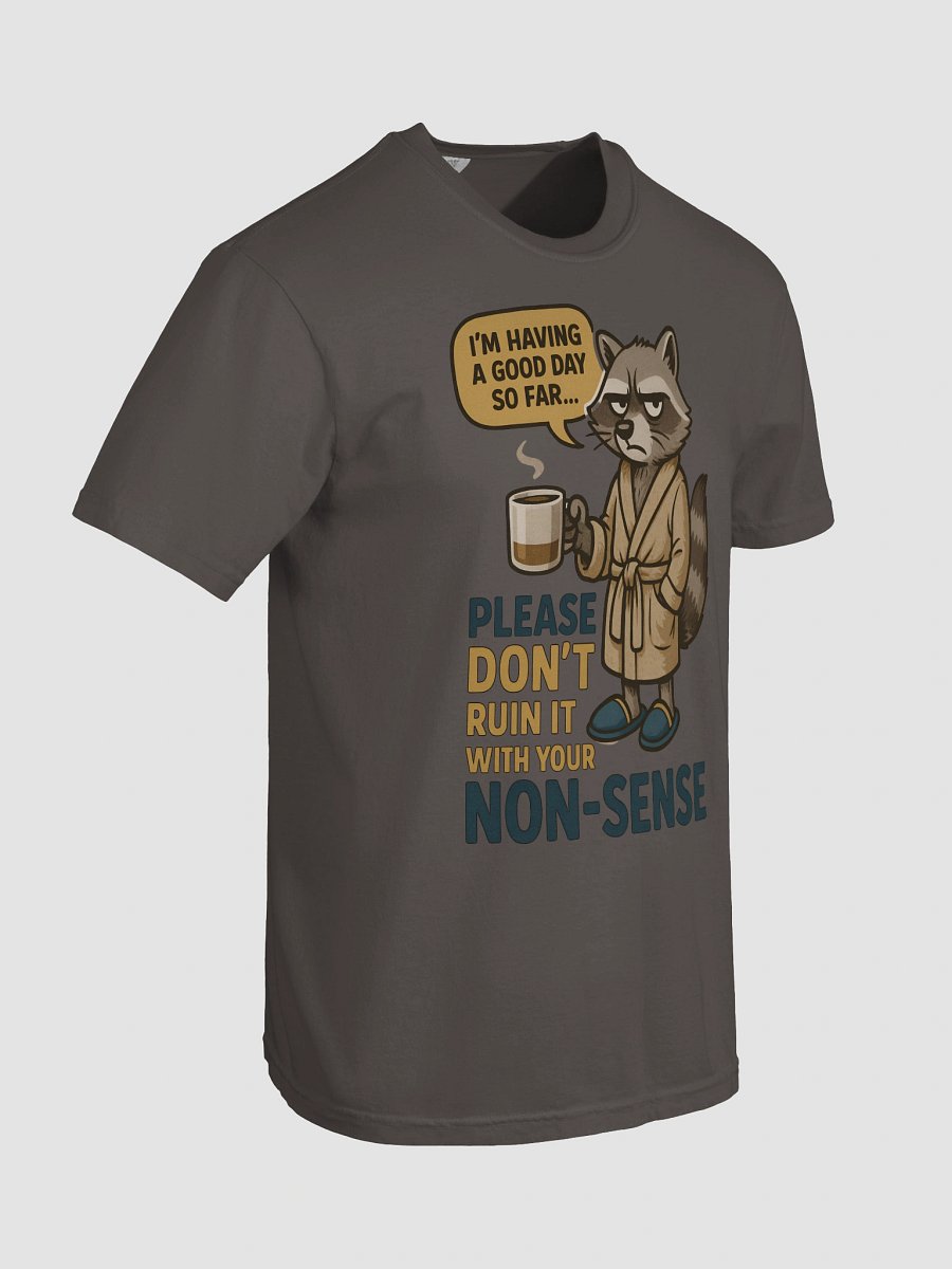 Raccoon Please Don't Ruin It With Your Non-Sense Tee product image (105)