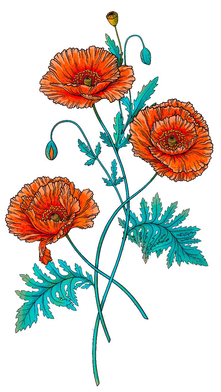 Poppy Coloring Pages, Hand Drawn, Set of 3 product image (5)