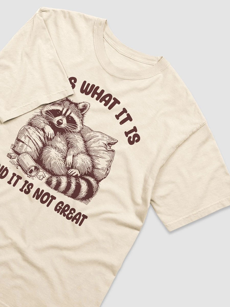 It Is What It Is And It Is Not Great Comfort Colors Tee product image (30)